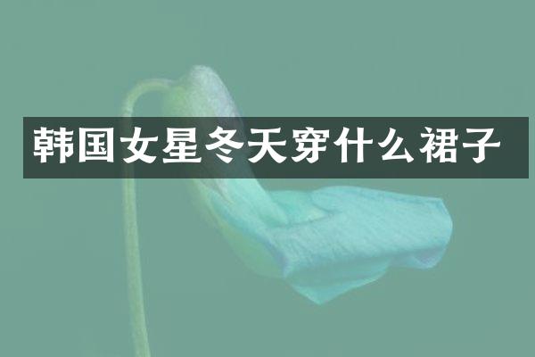 韩国女星冬天穿什么裙子
