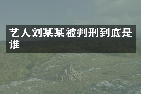艺人刘某某被判刑到底是谁