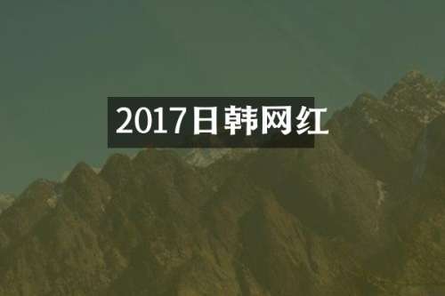 2017日韩网红