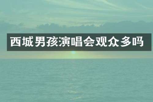 西城男孩演唱会观众多吗