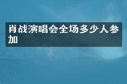 肖战演唱会全场多少人参加