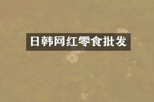 日韩网红零食批发