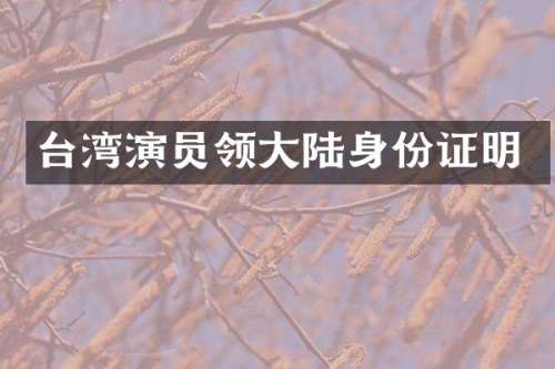 台湾演员领大陆明