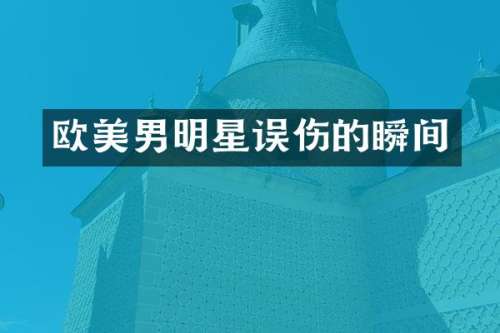 欧美男明星误伤的瞬间