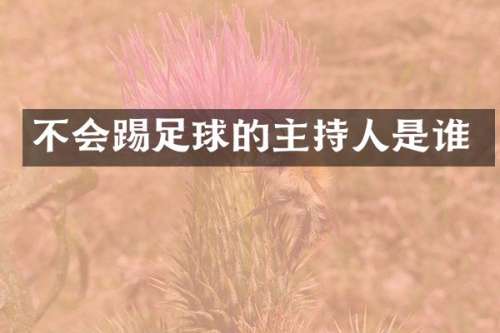 不会踢足球的主持人是谁
