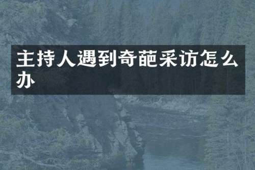 主持人遇到奇葩采访怎么办