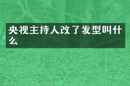 央视主持人改了发型叫什么