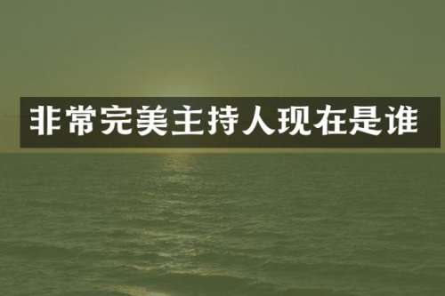 非常完美主持人现在是谁