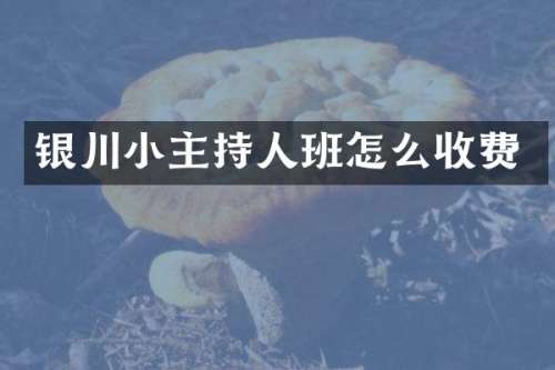 银川小主持人班怎么收费