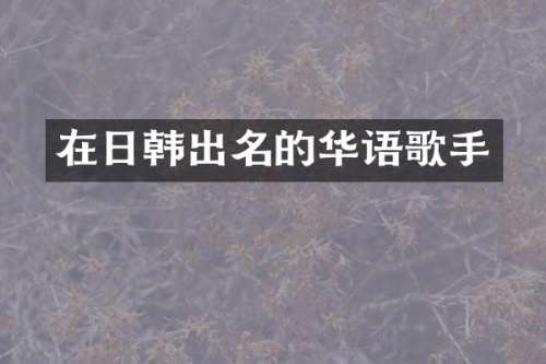 在日韩出名的华语歌手