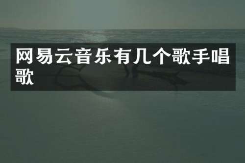 网易云音乐有几个歌手唱歌