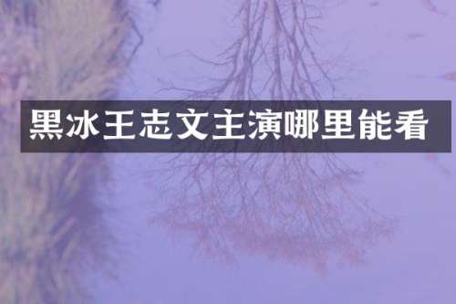 黑冰王志文主演哪里能看