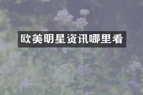 欧美明星资讯哪里看