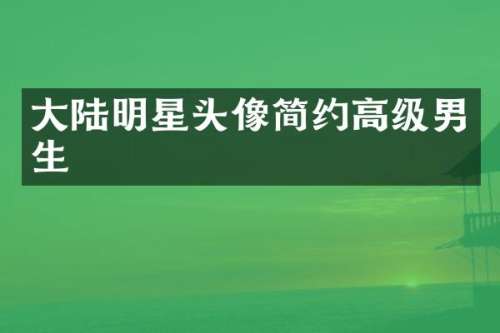 大陆明星头像简约高级男生
