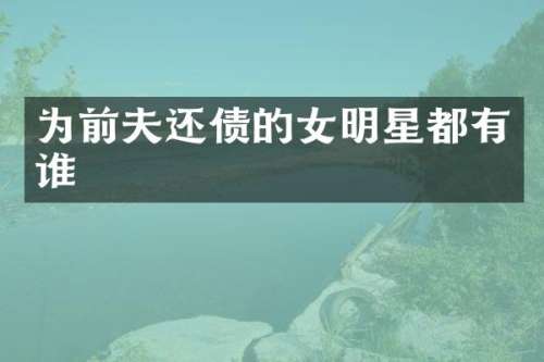 为前夫还债的女明星都有谁
