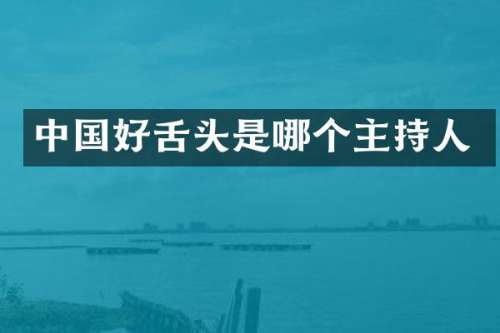 中国好舌头是哪个主持人