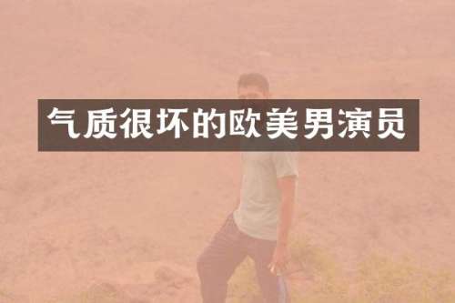 气质很坏的欧美男演员