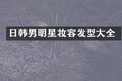 日韩男明星妆容发型大全