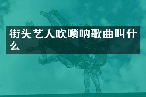 街头艺人吹唢呐歌曲叫什么
