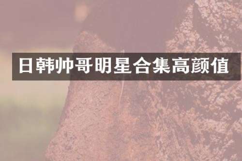 日韩帅哥明星高颜值