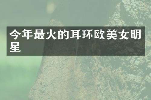 今年最火的耳环欧明星