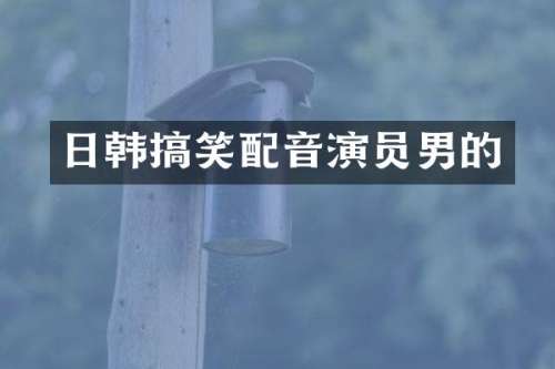 日韩搞笑配音演员男的