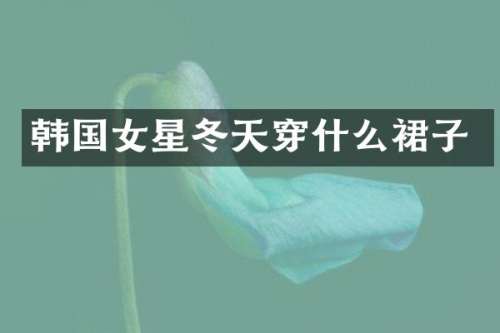 韩国女星冬天穿什么裙子