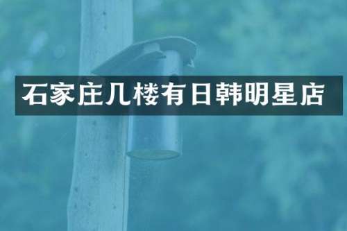石家庄几楼有日韩明星店