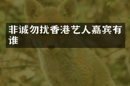 非诚勿扰香港艺人嘉宾有谁