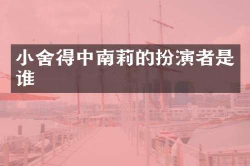 小舍得中南莉的扮演者是谁