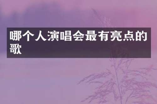 哪个人演唱会最有亮点的歌