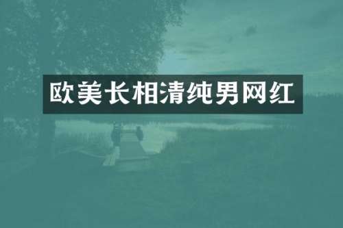 欧美长相清纯男网红