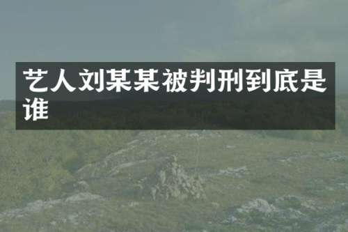 艺人刘某某被判刑到底是谁