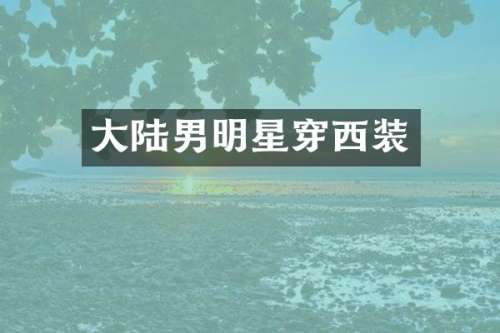 大陆男明星穿西装
