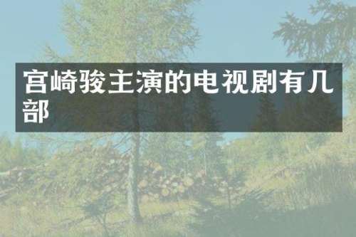 宫崎骏主演的电视剧有几部