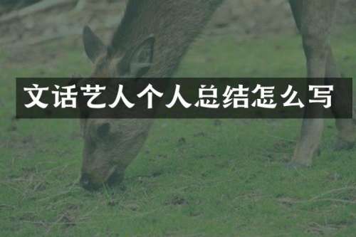 文话艺人个人总结怎么写