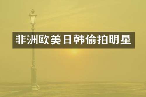 非洲欧美日韩明星