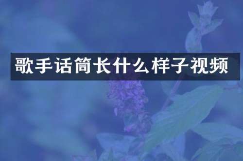 歌手话筒长什么样子视频