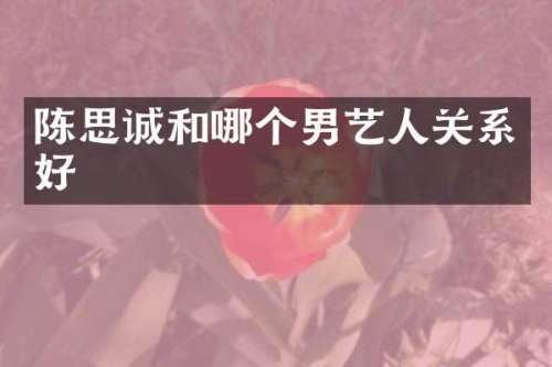 陈思诚和哪个男艺人关系好