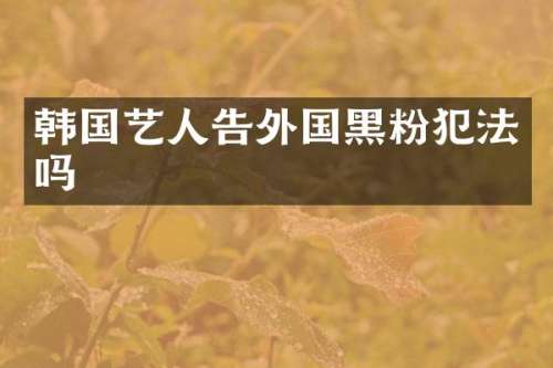 韩国艺人告外国黑粉犯法吗