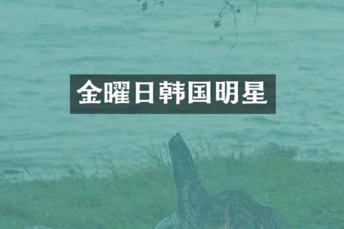 金曜日韩国明星