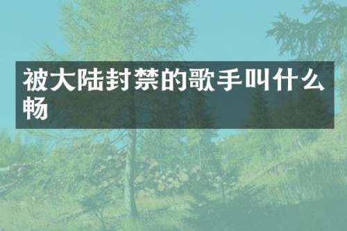 被大陆封禁的歌手叫什么畅