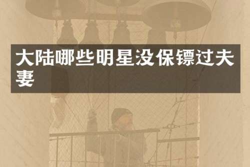 大陆哪些明星没保镖过夫妻