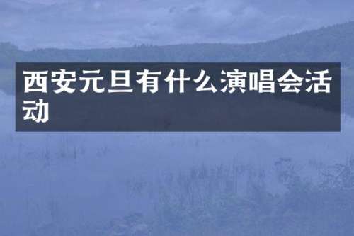 西安元旦有什么演唱会活动