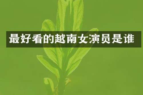 最好看的越南女演员是谁