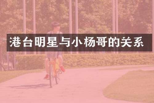 港台明星与小杨哥的关系