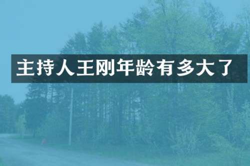 主持人年龄有多大了