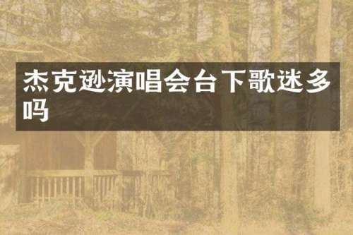 杰克逊演唱会台下歌迷多吗