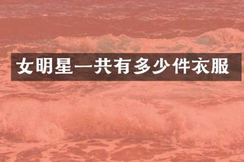 女明星一共有多少件衣服