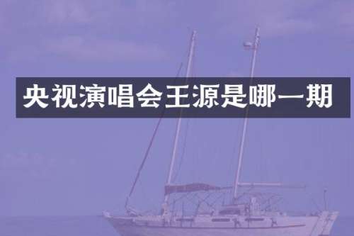 央视演唱会王源是哪一期